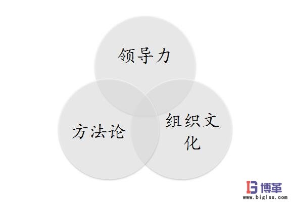六西格瑪管理成功實(shí)施要素 六西格瑪管理成功實(shí)施要素